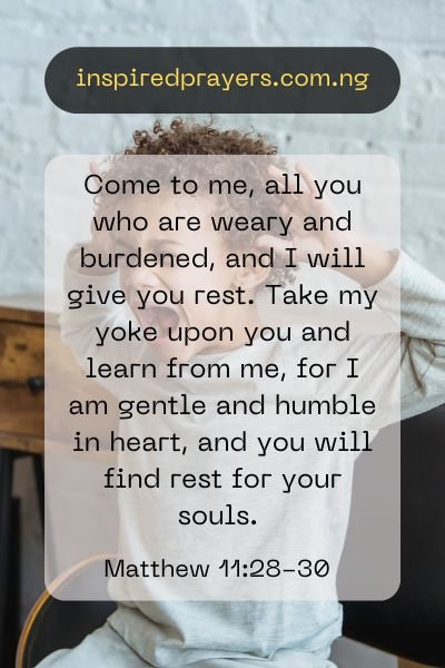 Bible Verses About Frustration