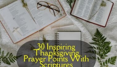 Thanksgiving Prayer Points With Scriptures​