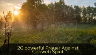 Prayer Against Cobweb Spirit