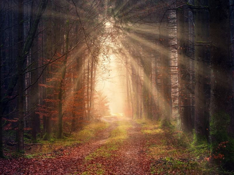 Prayer Point For The Month